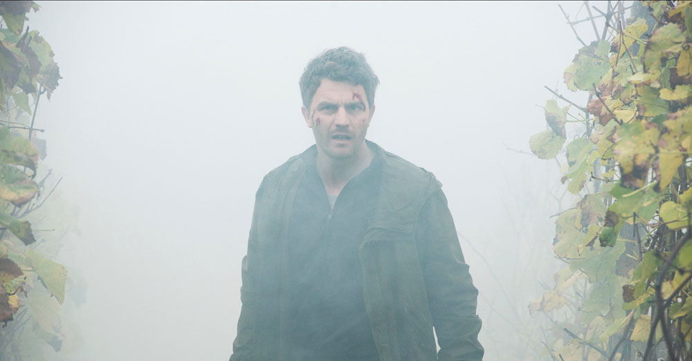 Weinberg - Im Nebel des Schweigens