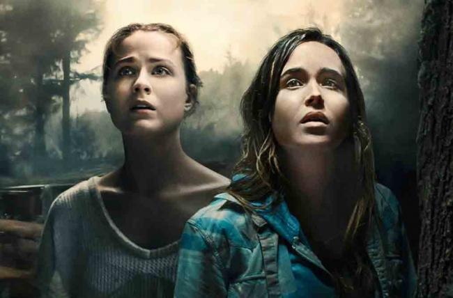 Poster zu Into The Forest