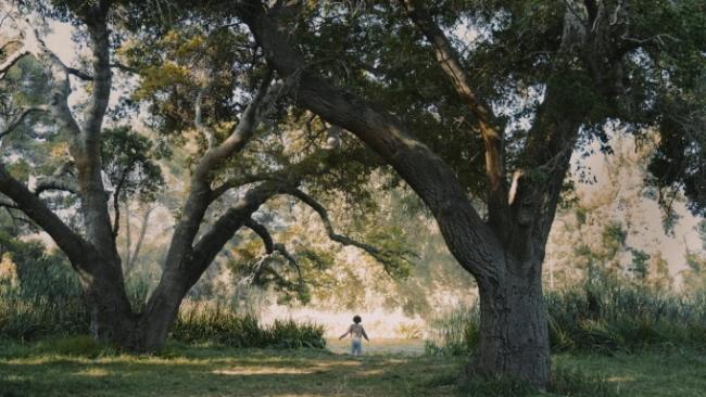 kindred_serie_fx