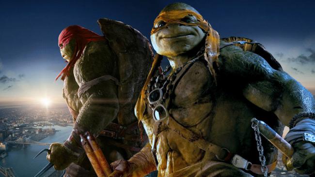 Ninja Turtles Ninja Turtles