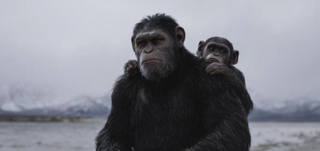 Caesar mit seinem Sohn Cornelius in Planet der Affen: Survival