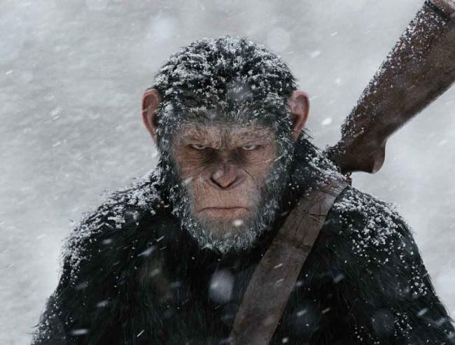 Teaser-Poster zu Planet der Affen: Survival