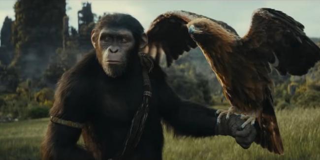 Planet der Affen New Kingdom Planet der Affen New Kingdom