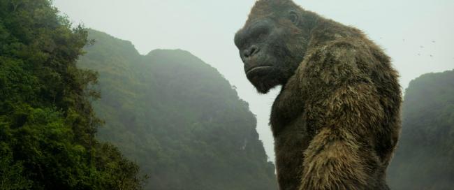 Der Affe Kong in Kong Skull Island Der Affe Kong in Kong Skull Island