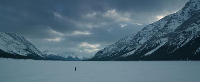 The Revenant
