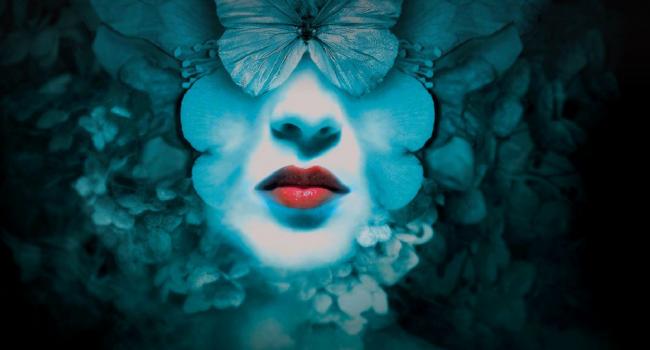 Sleeping Beauties Sleeping Beauties