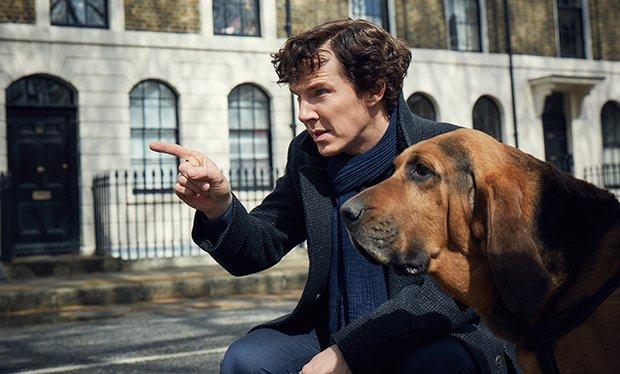 Sherlock mit Bluthund im ersten Bild zur vierten Staffel