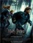 Harry Potter und die Heiligtümer des Todes Teil 1 Filmposter