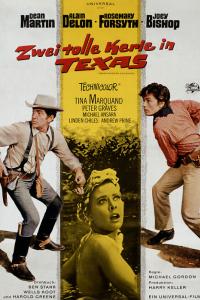 Zwei tolle Kerle in Texas Filmposter