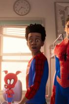 Kritik zu Spider-Man: A New Universe - Das beste Superhelden-Netzwerk