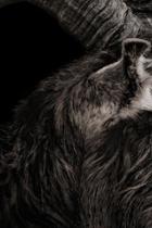 "Kuckuck!" - Letzter Trailer zum Horrorfilm The Witch