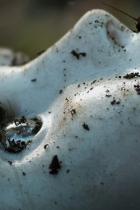 Brahms: The Boy II - Neuer Trailer zur Horror-Fortsetzung