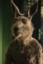 Die Känguru-Chroniken: Neuer Trailer zur Kino-Version der Bestsellerreihe