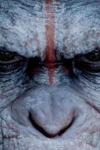 Planet der Affen 3: Die erste Rolle ist besetzt - Drehstart im Oktober