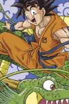 Manga-Kritik: Dragon Ball Super 1: Die Krieger aus dem 6. Universum