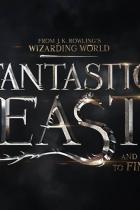 Die ersten Bilder aus Fantastic Beasts and Where to Find Them