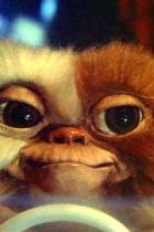 Der dritte Teil von Gremlins soll sich an Jurassic World orientieren