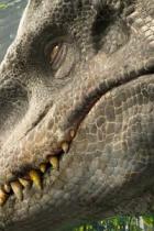 Indominus Rex aus Jurassic World