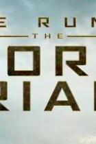 Die Auserwählten in der Todeszone - Neue Details zu Maze Runner 3