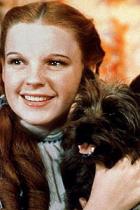 Keine Dorothy im Oz-Sequel