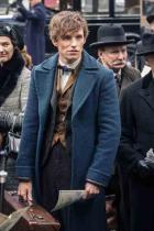 Phantastische Tierwesen: Eddie Redmayne wird nicht in allen Fortsetzungen die Hauptrolle spielen