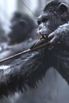Planet der Affen 3: Survival - Faktencheck zur Fortsetzung