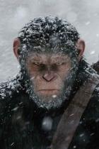  Planet der Affen: Survival - Finaler Trailer online