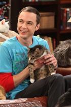 Big Bang Theory: Spin-off Young Sheldon geht in Serie 