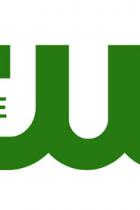 The CW bestellt Powerpuff Girls, Reboot von The 4400 und Naomi