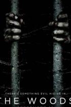 Trailer zu The Woods: Vielversprechender Found-Footage-Horror im Wald