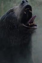 Cocaine Bear: Neuer Trailer zur blutigen schwarzen Komödie