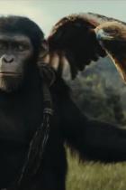 Planet der Affen: Nächster Teil der Filmreihe offiziell in Entwicklung