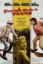 Zwei tolle Kerle in Texas Filmposter