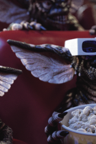 Gremlins 3: Drehbuch-Pitch von Shannon und Smith wurde abgelehnt