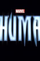 Marvel-Universum: Updates zu Inhumans &amp; Black Panther, Drehtermin für The Defenders
