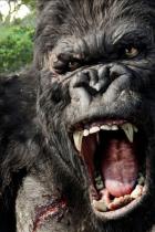 Erste Setfotos zu Kong: Skull Island zeigen riesige Knochenteile
