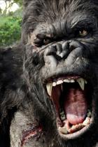 Skull Island landet bei Warner Brothers - Mögliche Pläne zu King Kong vs. Godzilla