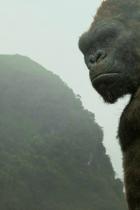 Godzilla vs. Kong: Kinostart um acht Monate verschoben
