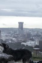 Herzensprojekt im Horror-Genre: Neill Blomkamp kündigt neuen Film an