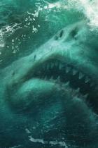 "Den Mund bitte einmal weit aufmachen" - Neuer Trailer und weiteres Poster zu Meg