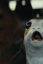 Star Wars: Die letzten Jedi – Daisy Ridley spricht über die Porgs