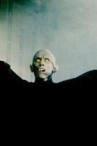 Brennen muss Salem: Gary Dauberman äußert sich zur Vorlage