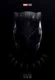 Black Panther 2 Poster