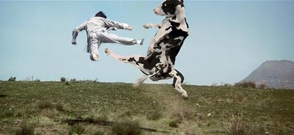 Kung Pow