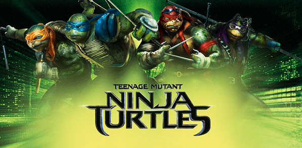 Ninja Turtles Ninja Turtles