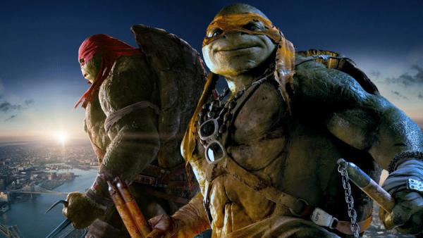 Ninja Turtles Ninja Turtles