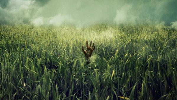 Tall Grass Stephen King