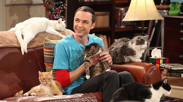 The Big Bang Theory Sheldon Cooper