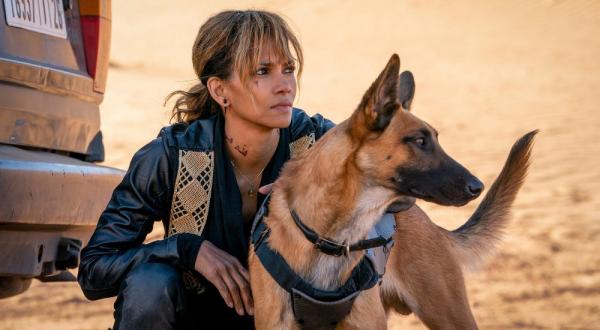 Halle Berry in John Wick 3