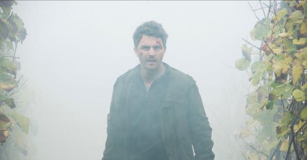 Weinberg - Im Nebel des Schweigens